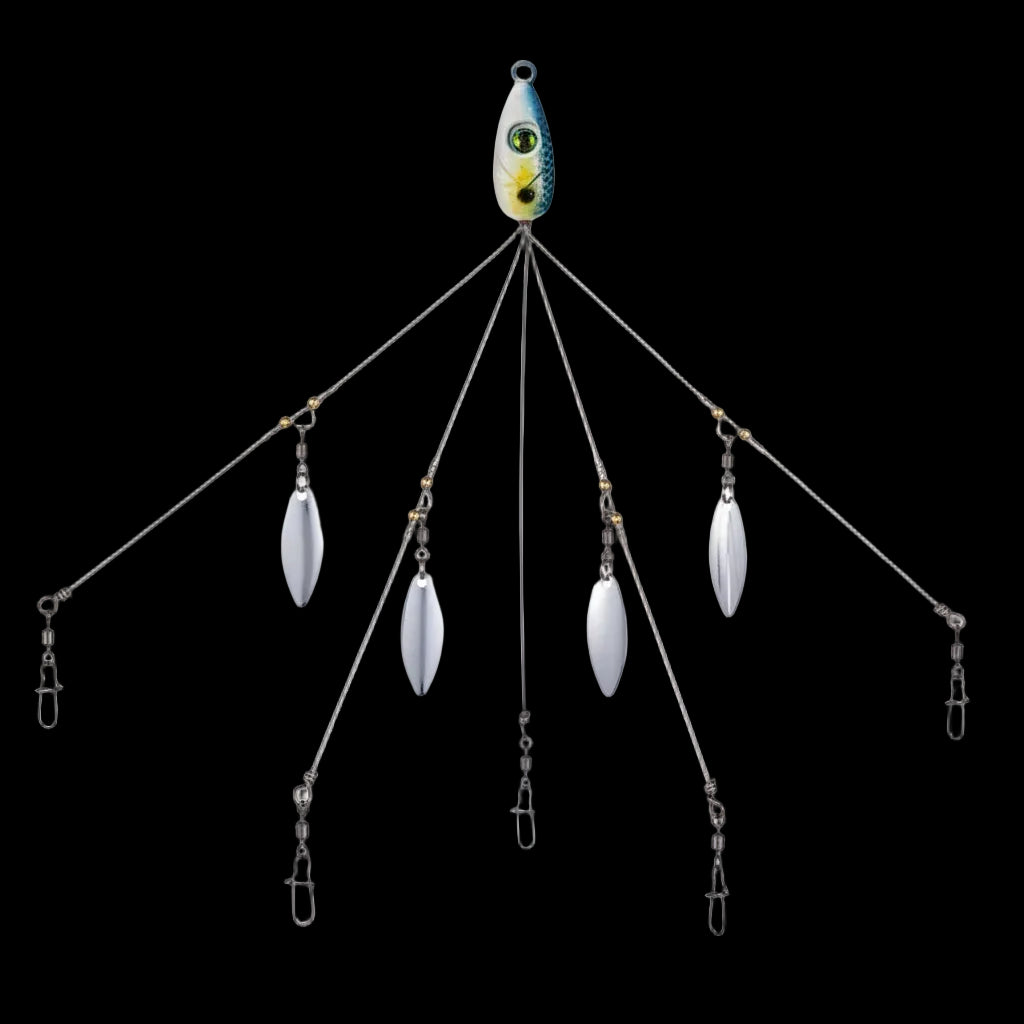 Mycena Umbrella Rig