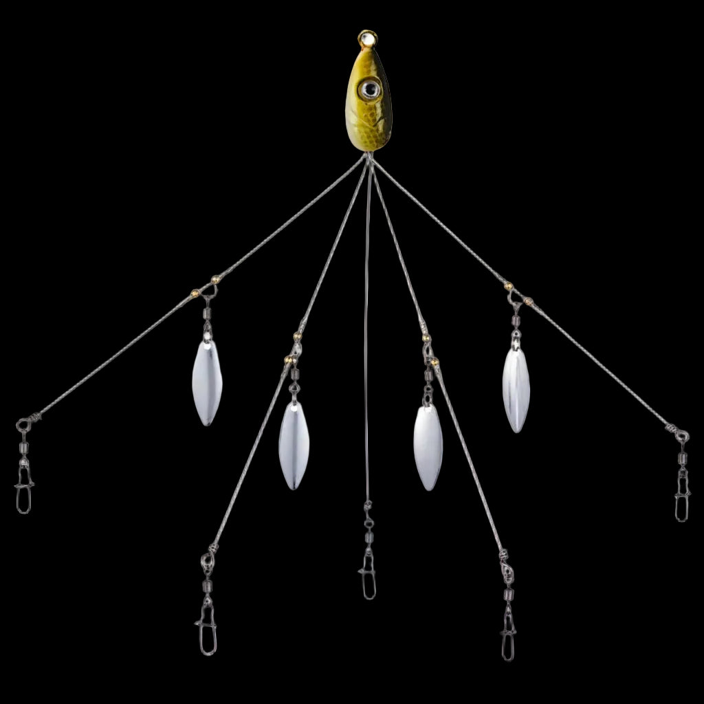 Mycena Umbrella Rig