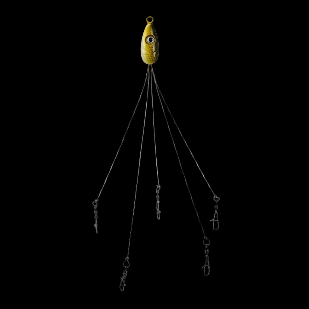 Mycena Umbrella Rig