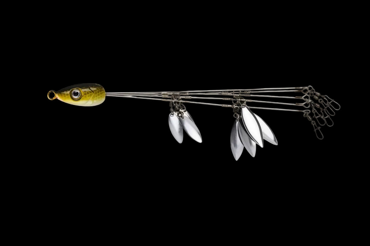Mycena Umbrella Rig